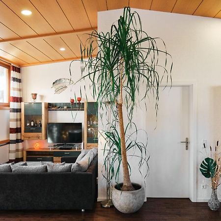 Ferienhaus Am Millibach Wehingen المظهر الخارجي الصورة